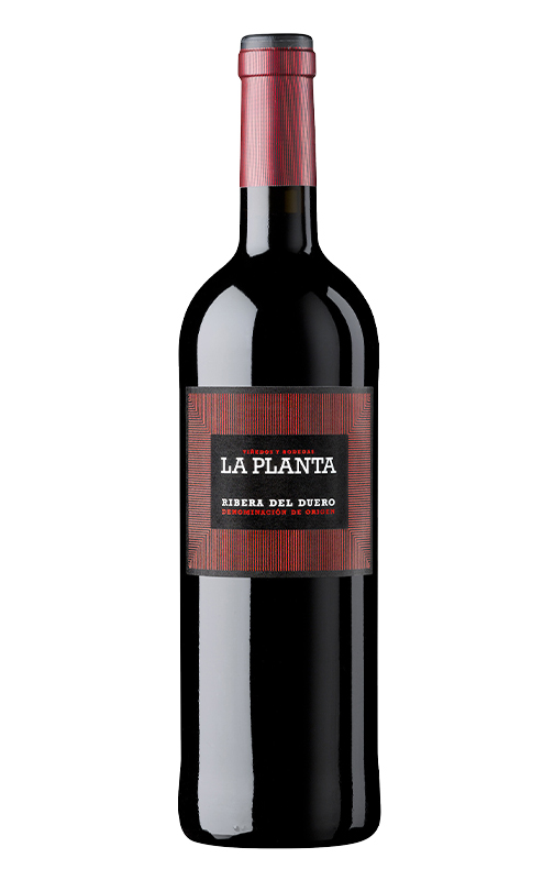  Copa La Planta Ribera D.